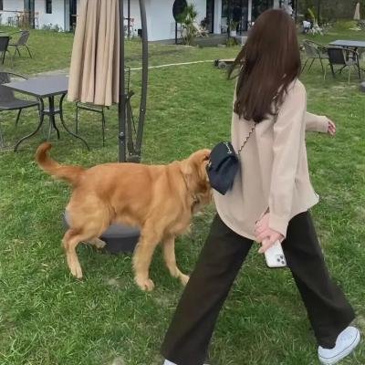 生存的机会